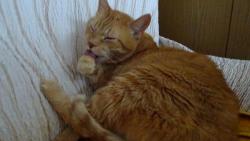 Musm opatrn, abych si nepokrbal jazek.