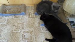 Pom�hali jsme s �klidem a takhle n�s to zmohlo.