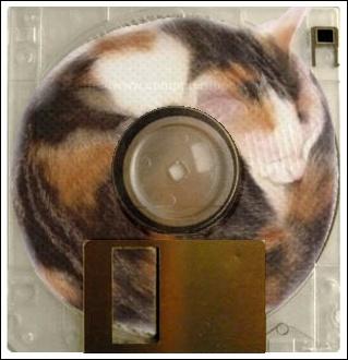 Nzev: Floppy-disk by Chuckinka / Vystavovatel: Roni