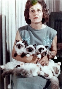 Chovatelka Ann Baker a koata ragdoll