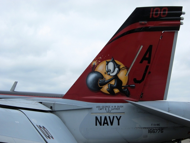Kocour Felix na smrovce F/A-18E