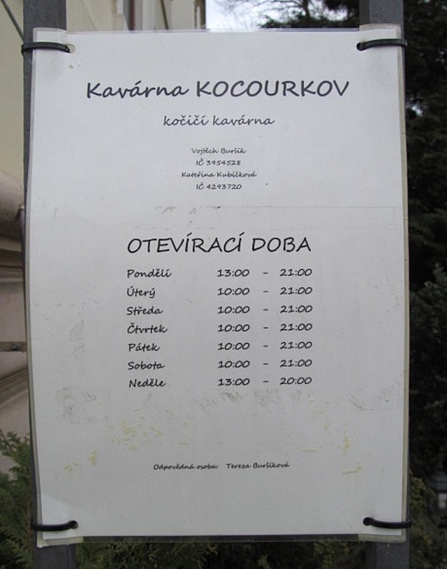 Koi kavrna Kocourkov, Olomouc / Cat caf