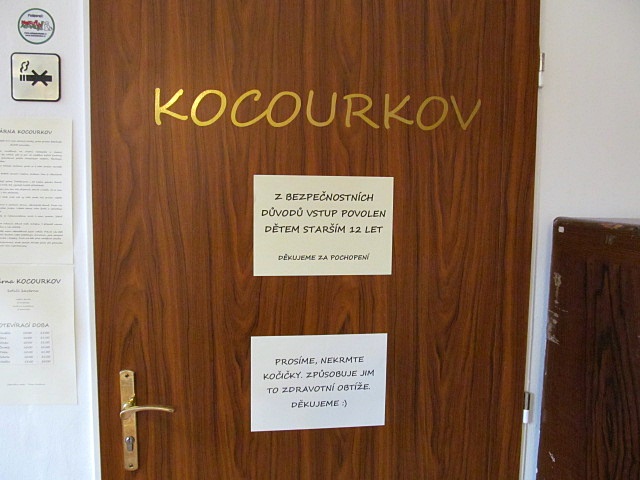 Koi kavrna Kocourkov, Olomouc / Cat caf