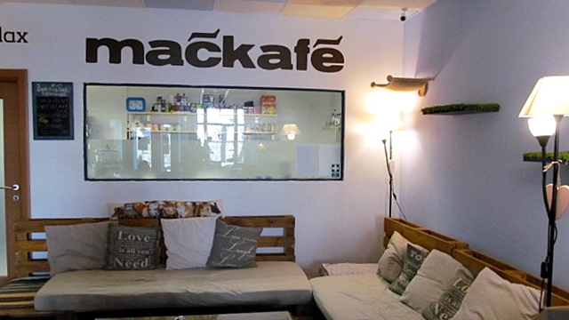 V kočičí kavárně, díl šestý: Mačkafé, Bratislava