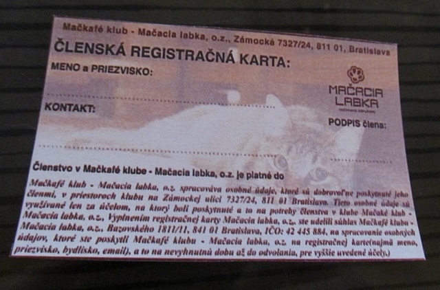 Koi kavrna Makaf, Bratislava, Slovensko / Cat caf: Makaf, Bratislava, Slovakia