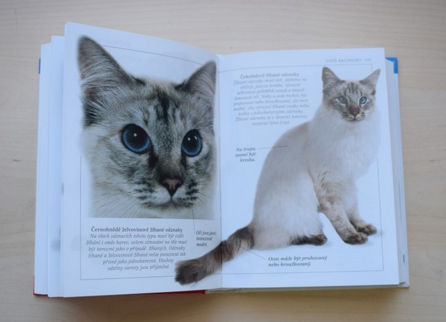 Recenze knihy - Bruce Fogle: Koky, Atlas do ruky