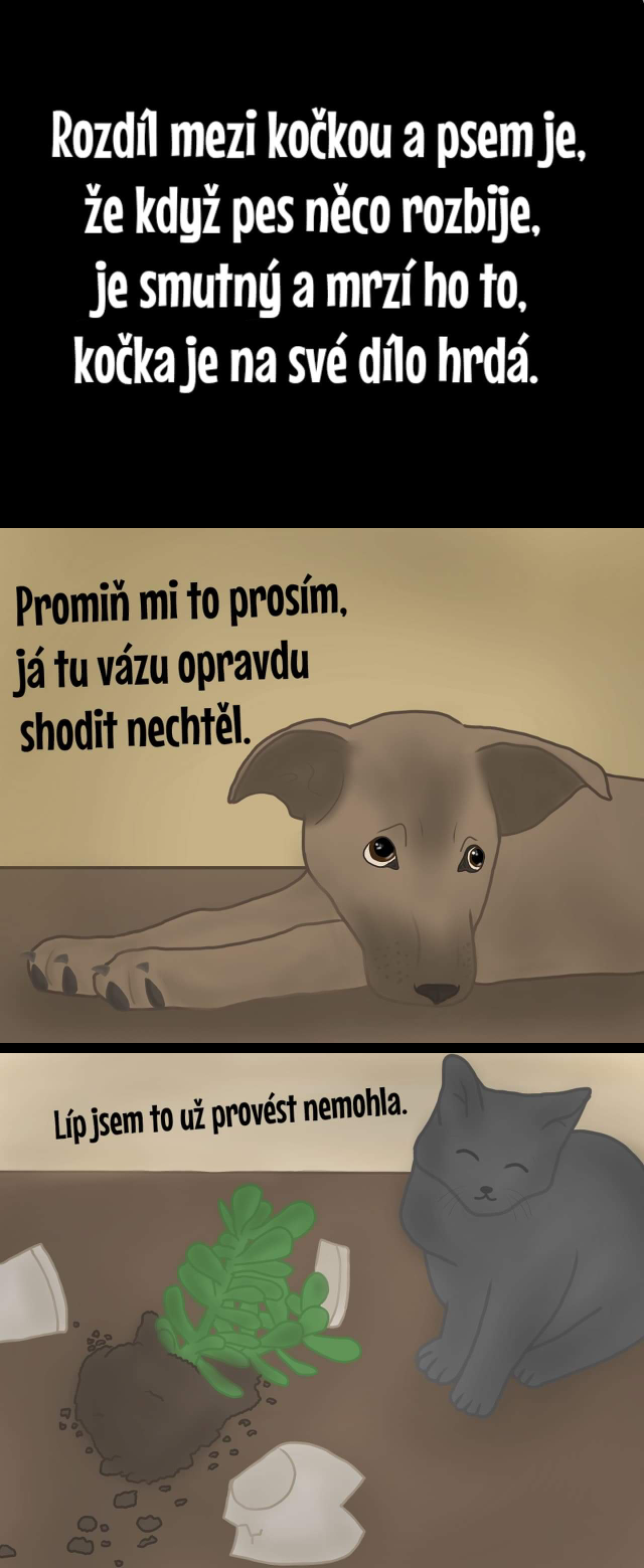 Komiks Creepy koky: Koka versus pes 5. Modr kocou.cz