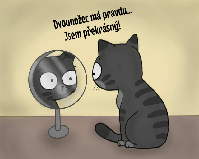 Komiks Creepy koky: Zrcadlo, zrcadlo... Modr kocou.cz