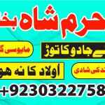 asli amil baba france italy turkey oman qatar dubai uzbekistan azerbaijan uk