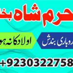 asli amil baba france italy turkey oman qatar dubai uzbekistan azerbaijan uk