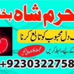 asli amil baba france italy turkey oman qatar dubai uzbekistan azerbaijan uk
