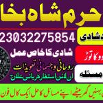 amil baba in sargodha astrologer in uk usa canada amil baba kala jadu in pakistan famous amil