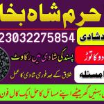 amil baba in sargodha astrologer in uk usa canada amil baba kala jadu in pakistan famous amil