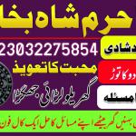 amil baba in sargodha astrologer in uk usa canada amil baba kala jadu in pakistan famous amil