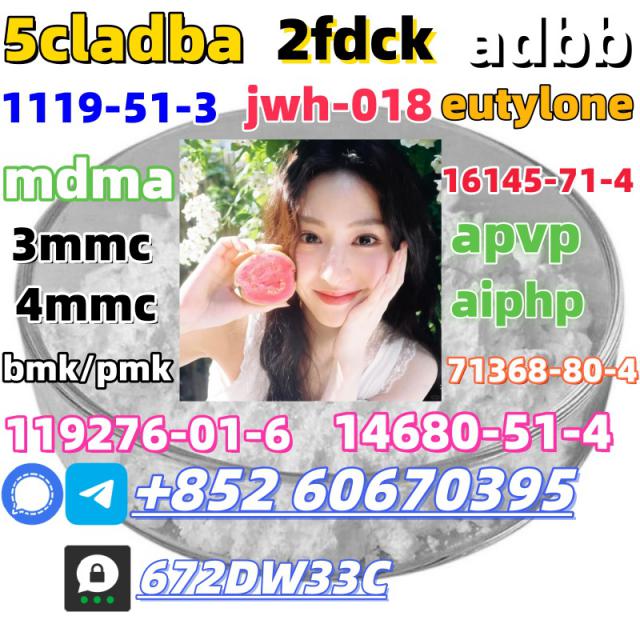 China factory supply Bmk/Pmk low price