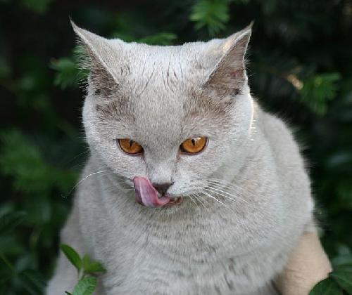 V�t�z NEJ fotky