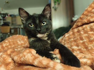 M�va: Tady dokonce vypad�m jako hodn� holka