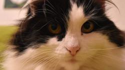 Po��dn� jsem prohnala Jendu, te� u� budu v klidu odpo��vat.