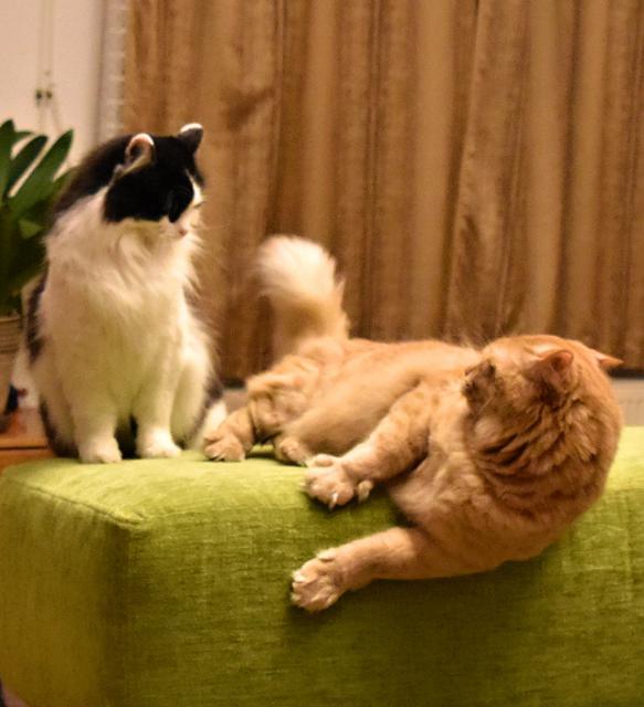 1/2 Kry�p�no, si snad mysl�, �e t� pustim na moje m�ste�ko.