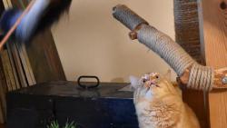 Zuzanko, hlavn� nespadni. Kdo by se o m� staral.