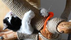 Taky um�m p�kn� ��dit, ale o m� se Jan n�jak moc neboj�...