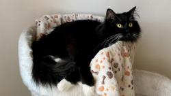 P�eji pohodovou sobotu 😘