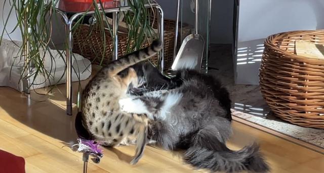 2)�po kter� n�sledovala v�m�na n�zor� �