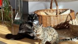 3) Co je??? Jsme p�eci hodn�,ne?😹