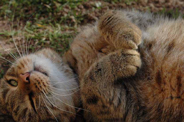 Protahov�n� na skoro-jarn�m slun��ku :)