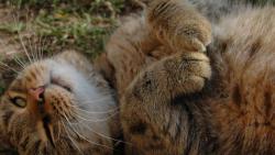 Protahov�n� na skoro-jarn�m slun��ku :)