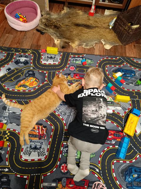 No aspo� �e hlad�, kdy� mi zab�r� koberec.