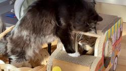 �olino, vyst�el!!! To auto nen� jen Tvoje!!!