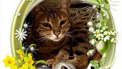 Kr�sn� jaro p�eji 😘