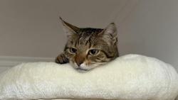 Už bude ten 🥩 hotový?