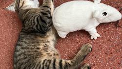 Klotylda má moc dobrý ocásek 😅