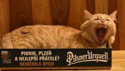 1/3 Do týhle krabice holky nepustím.