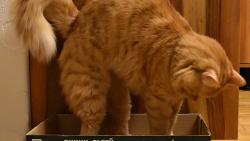 2/3 Že do krabic běžně nelezu...