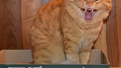 3/3 Ale tahle nemá chybu, neměnil bych :-)