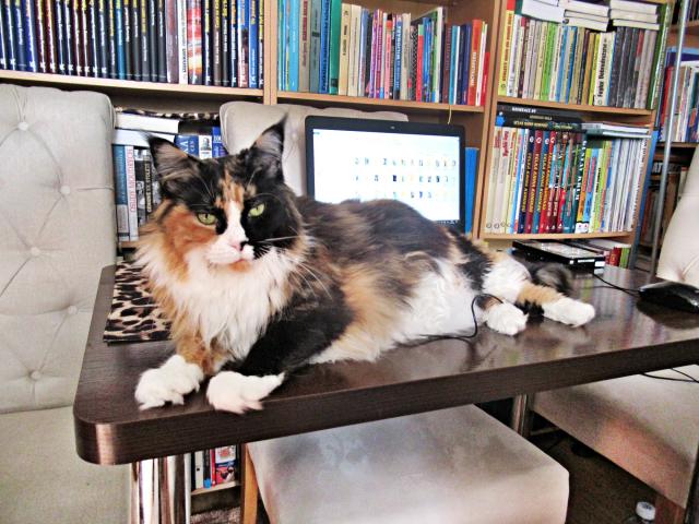 A pak, �e bez pr�ce nejsou kol��e. J� bez pr�ce dostanu p�r dobr�tek a uvoln�m st�l.