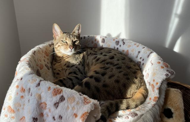 Fotka u koment��e