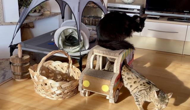 Fotka u koment��e