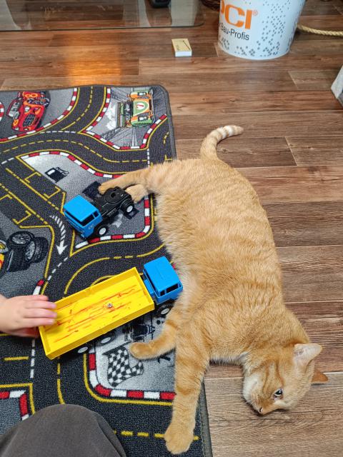 Tak si s tebou teda pohraju, no.