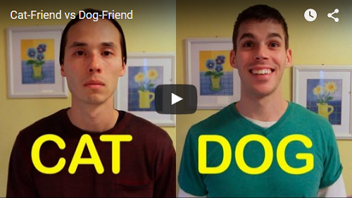 Video: Koi vs. ps ptel
