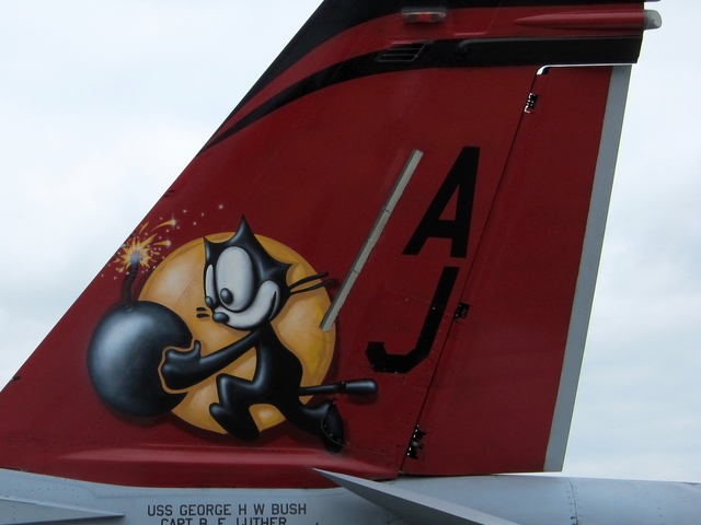 Kocour Felix na smrovce F/A-18E