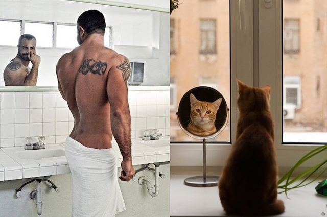 Mui versus koky / Men vs. cats