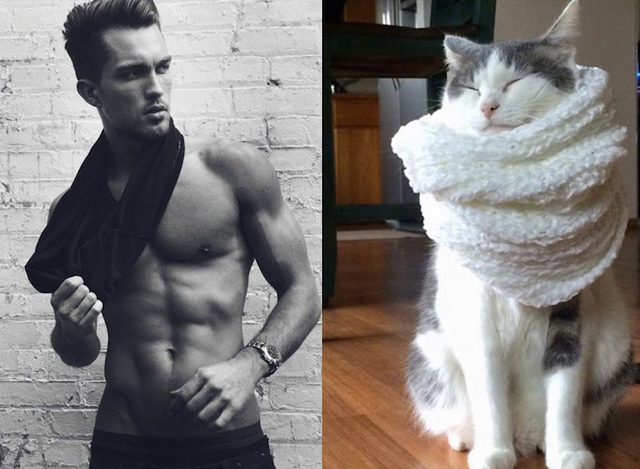 Mui versus koky / Men vs. cats