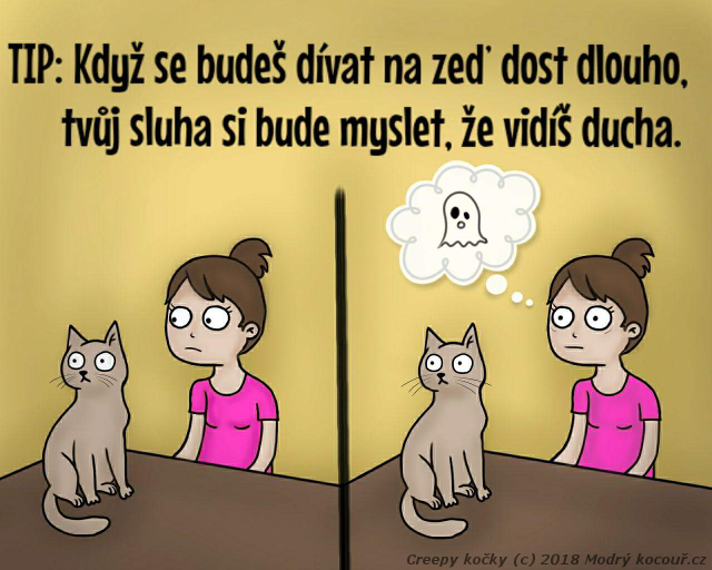 Komiks Creepy koky: Jak vystrait sluhy. Modr kocou.cz